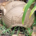 Toad House