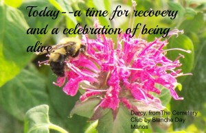 Bumblebee and Flower