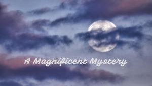 magnificent mystery