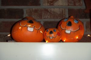 Gourd Family