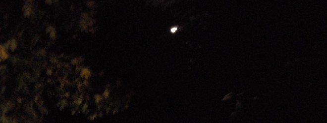 The Mystery of Moonbeams