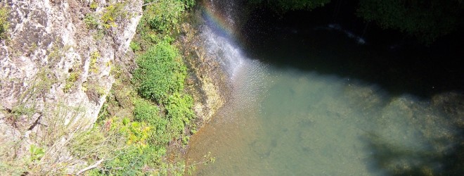 A Rainbow in the Mist