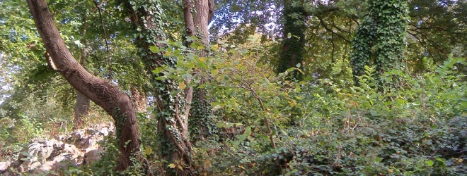 Victorian Thompson House