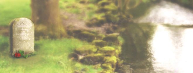 Big Day for Darcy and Flora!