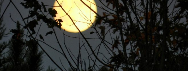 That Frightful Old Silvery Moon Up in the Sky