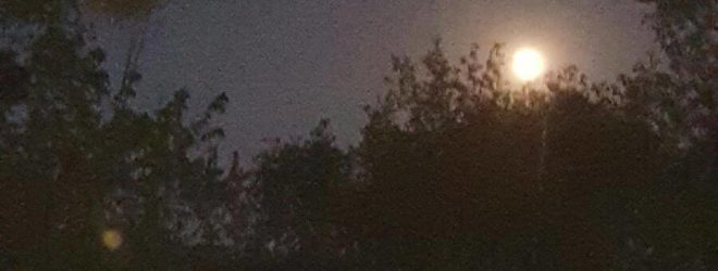 A Light in the Wastebasket