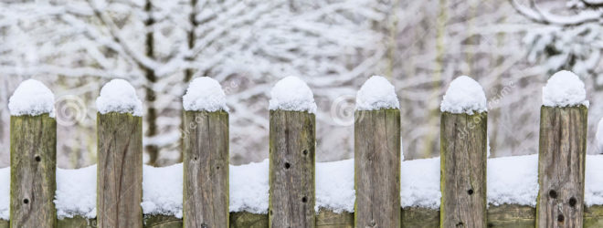 Waiting for the First Snowfall