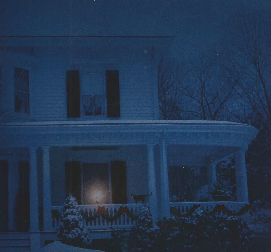 A snowy town, a Victorian house, old friends, a re-kindled romance, and murder, all in Moonlight Can Be Murder.
