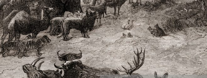 Who Was Noah?