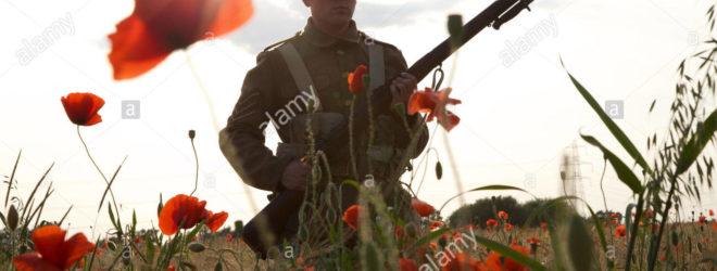 In Flanders Fields