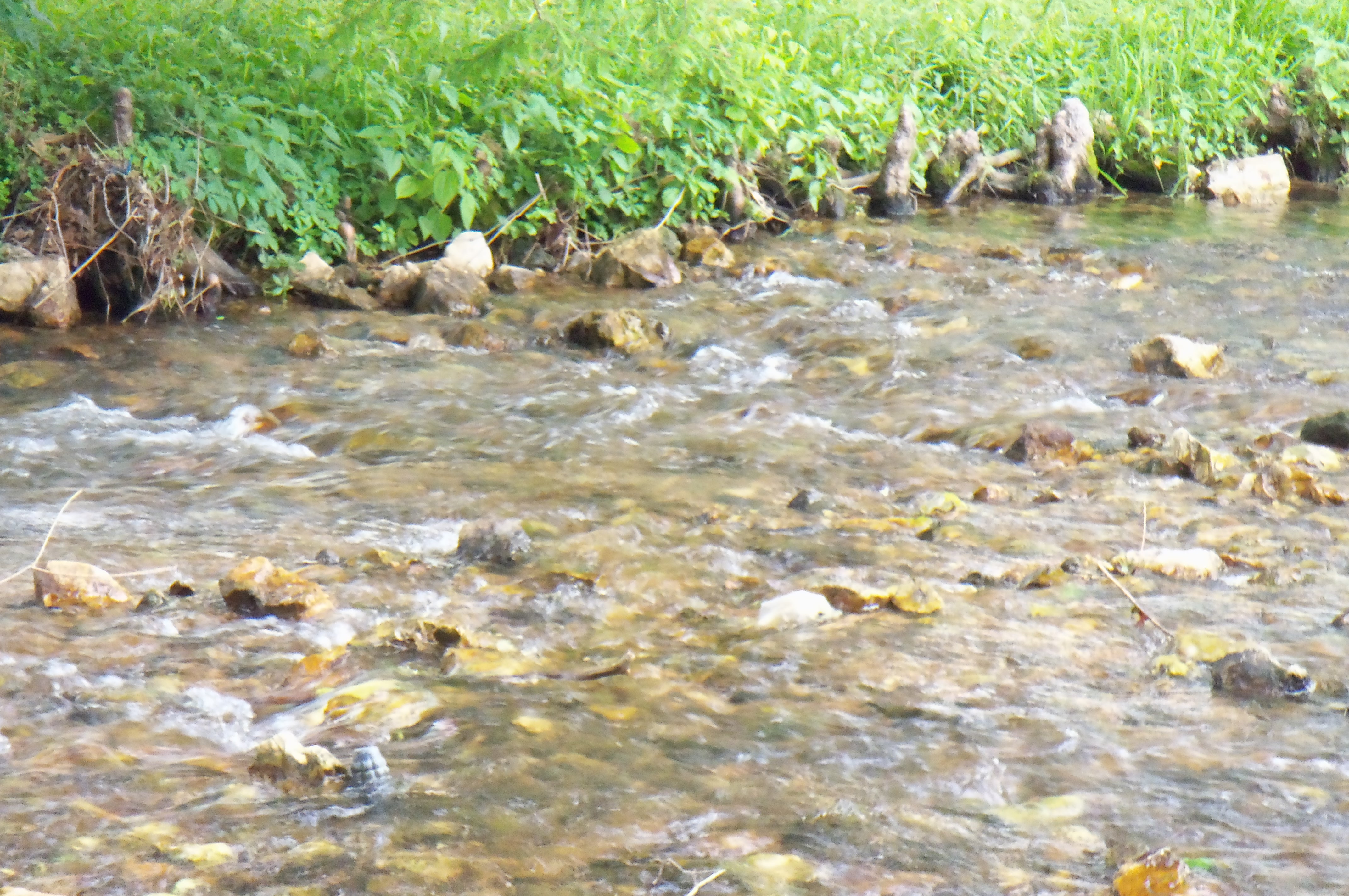 Cloudy, Stormy, Nervous Nemo