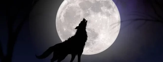 Wolf Moon